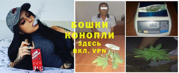 мдпв Богородицк