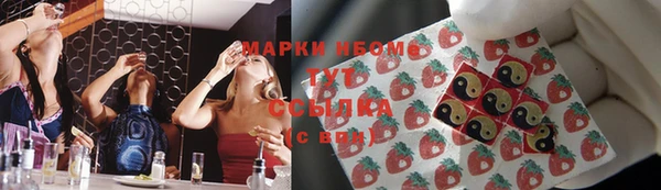 мдпв Богородицк