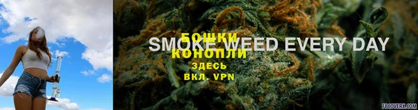 крисы Богданович
