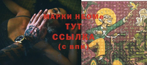 мдпв Богородицк