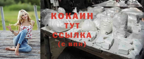 крисы Богданович
