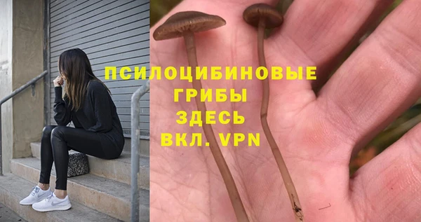 mix Богородск